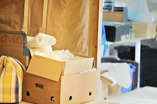Best Professional Junk Removal  in Annandale, MN